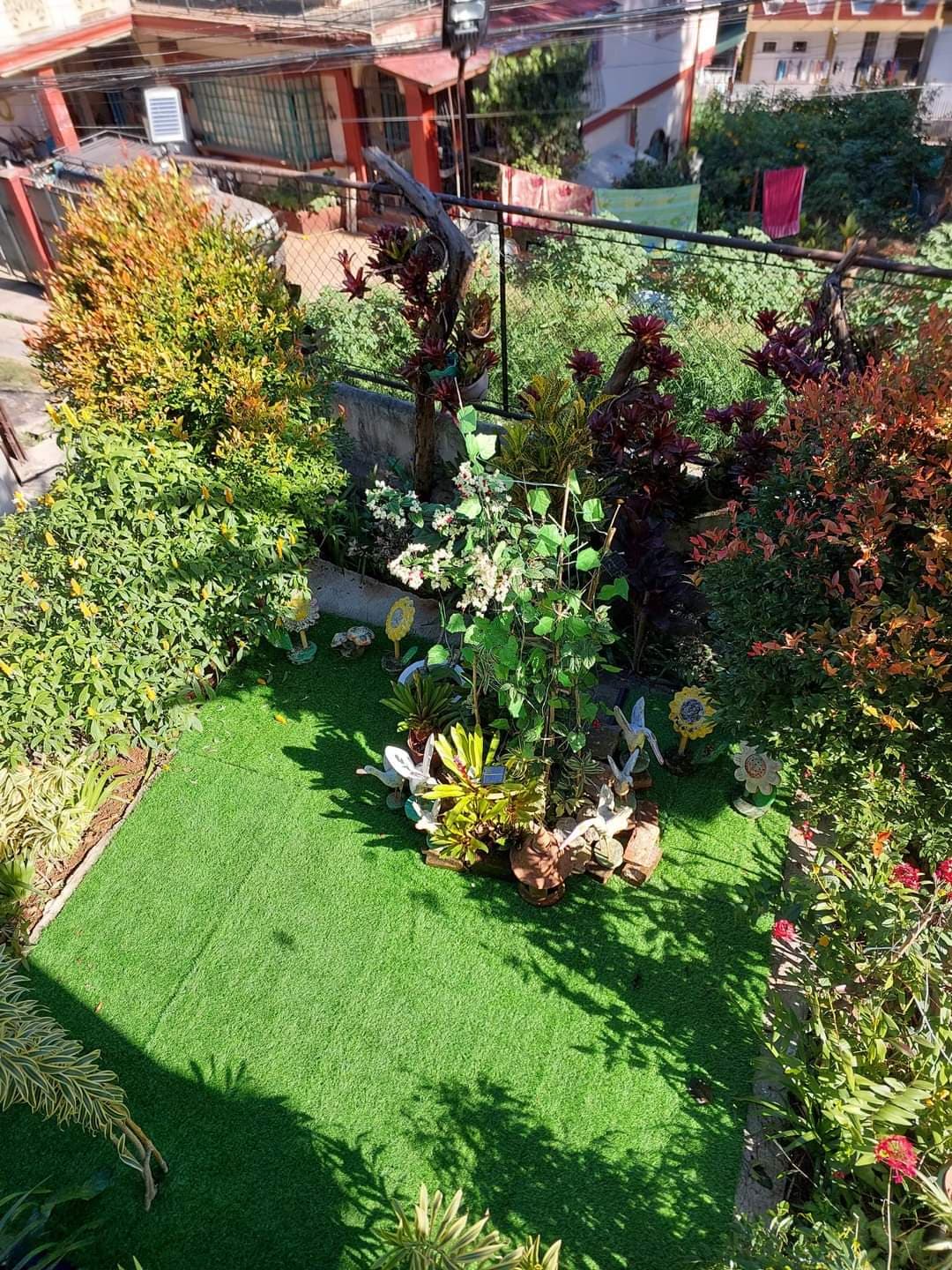 Aerial view of the landscaped garden & lawn